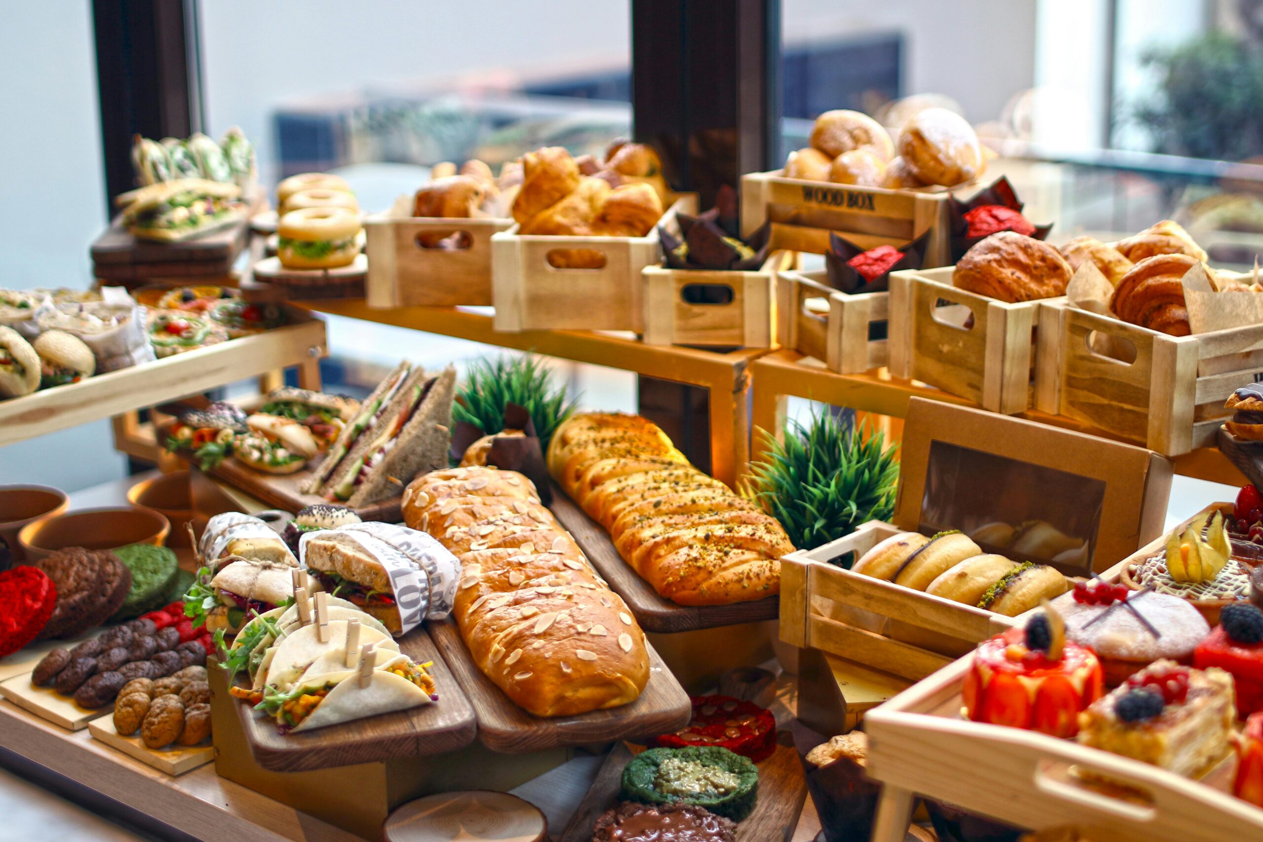 pexels-shameel-mukkath-3421394-5112592